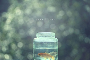 Simple Life