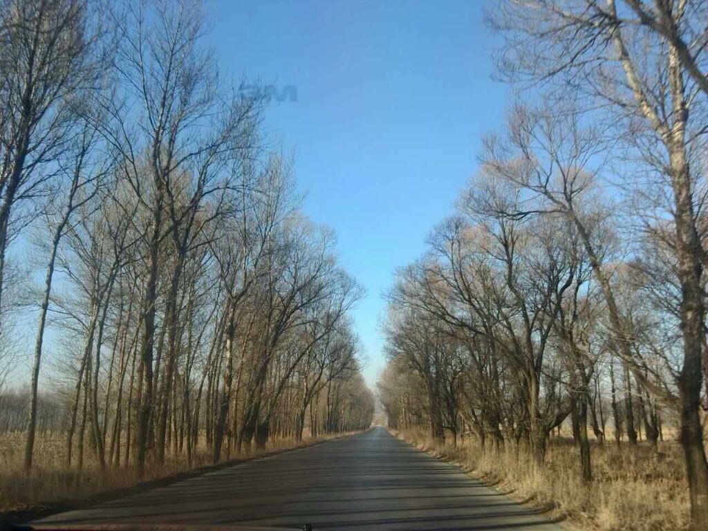 路上