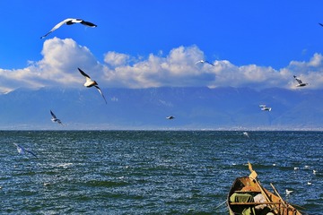 IMG_0856-01