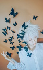 003
