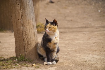 DSC_0422修2