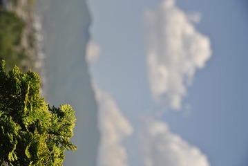 _DSC0101