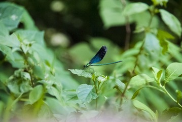 _DSC0330
