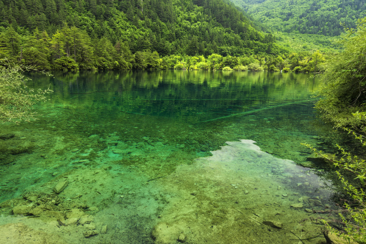 贵州茅台跌停！基金持仓市值蒸发30亿，有基金经理提前减仓