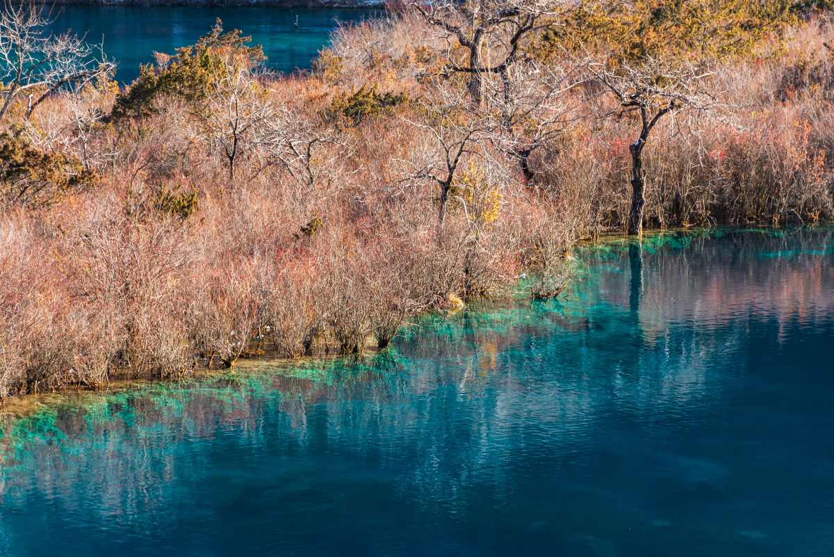 冬季九寨沟 - 陈喆风光摄影 - 图虫