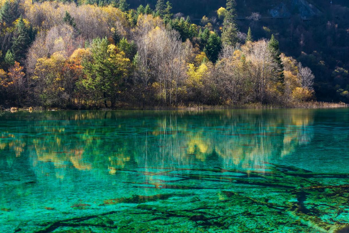 秋季九寨沟 - 陈喆风光摄影 - 图虫