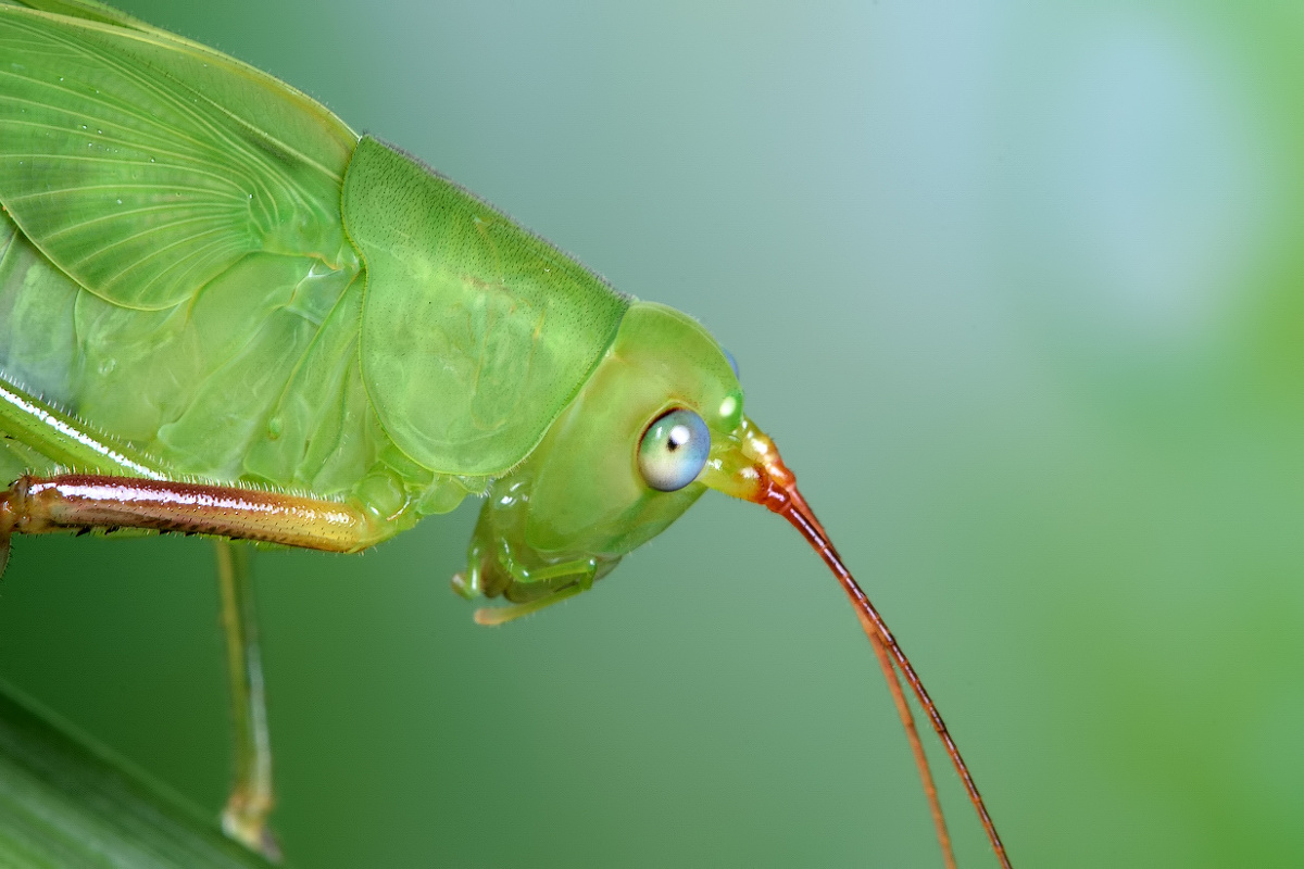心禅- 图虫摄影网