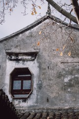 屋檐上的冬叶 (4)