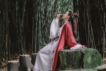 精选 红颜 望江楼 (5)