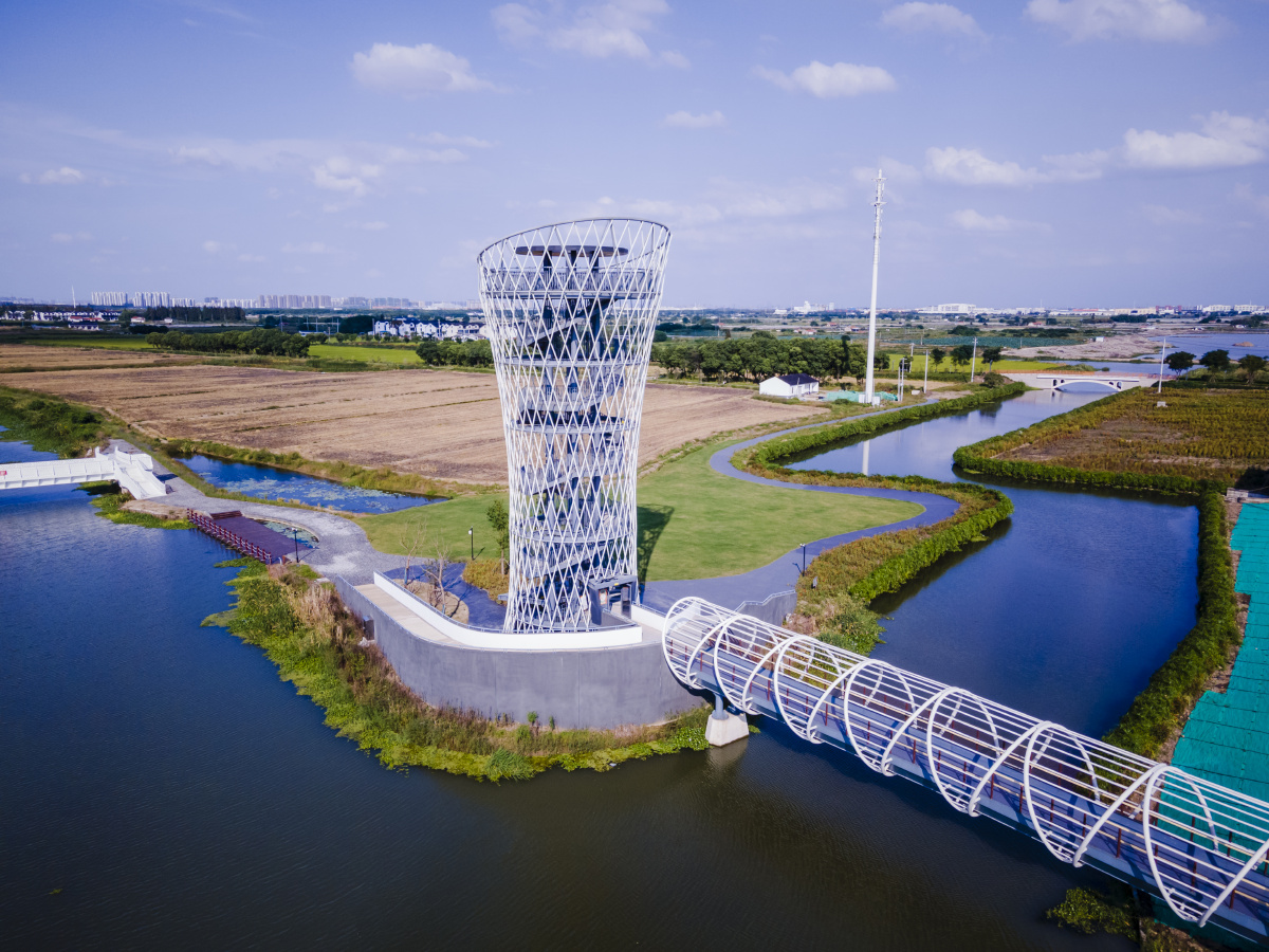 良渚文化中华文明之光秋的丰收