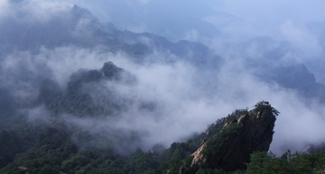 IMG_0089l