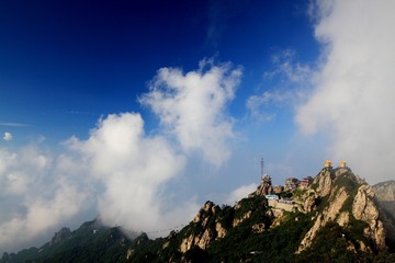 IMG_0483l