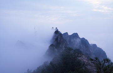 IMG_0067l