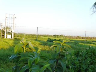 新建文件夹 (2)IMG_8291
