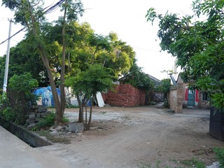 新建文件夹 (2)IMG_8254