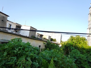 新建文件夹 (2)IMG_8258