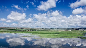 IMG_8518-36