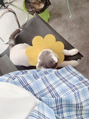001