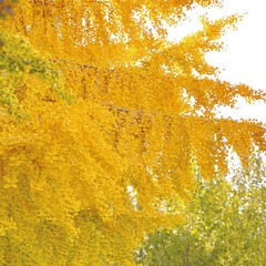 E97775B8-B534-416F-B2CB-EAE6A8B8D6DB/L0/001