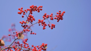 B75C77F7-B6CB-4961-B5E0-C0D1752434C9/L0/001