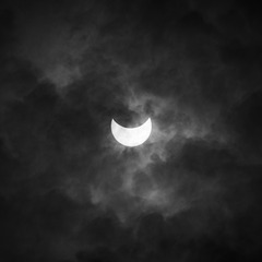 463D8D80-793C-490B-AEBD-79F60140AD8F/L0/001