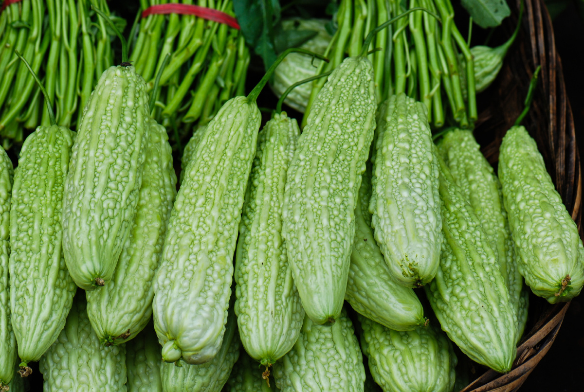 美味就是家常味蔬菜の王国食品蔬菜新鲜生长市场#农业#苦瓜四川季节您