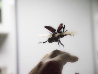 001