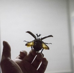 001