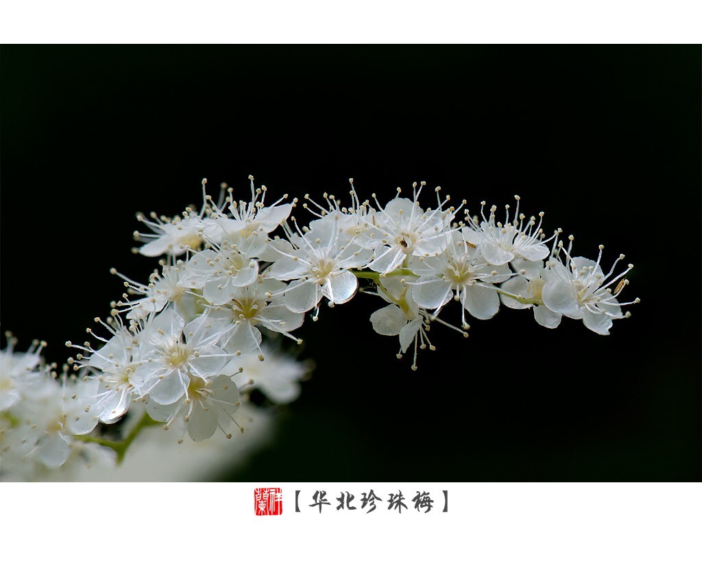 26片堆叠。