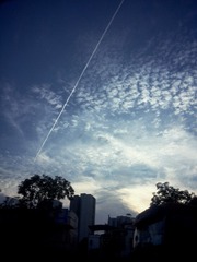 IMG_20161013_173150