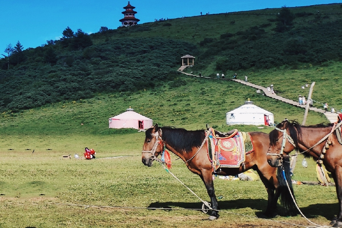 下马敬红尘来世不做人