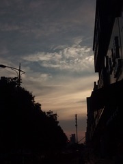 12004