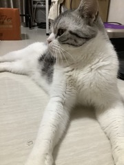 001