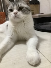 001