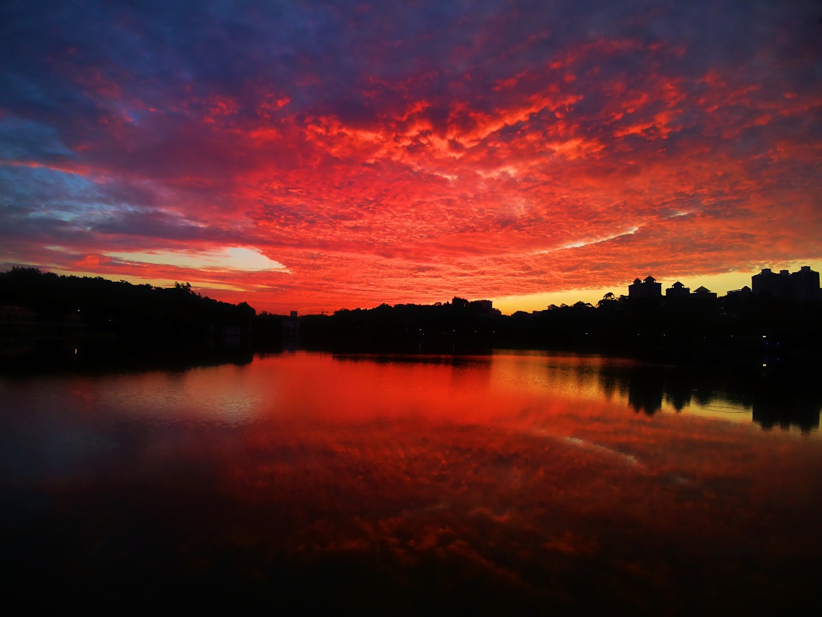 rosy clouds of dawn 玫瑰色的黎明