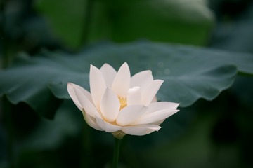 1000426325