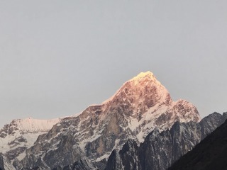 1000083619
