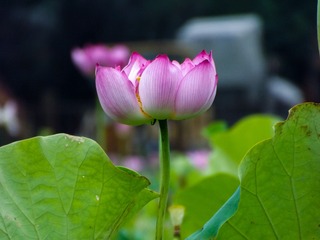 140987