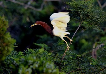 DSC_5193__2