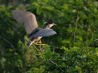 DSC_5322_1