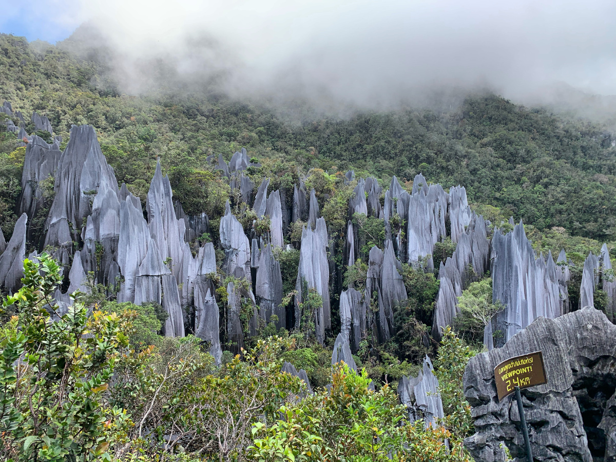 马来西亚 姆鲁山国家公园 世界文化遗产 the pinnacles