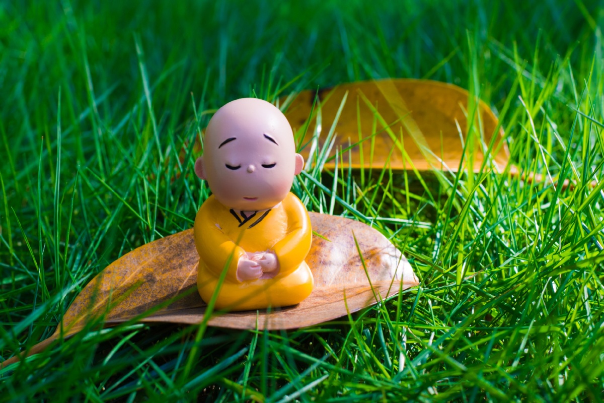 贤二- 快门小哥 - 图虫网 - 优质摄影师交流社区