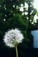 IMG_1535副本