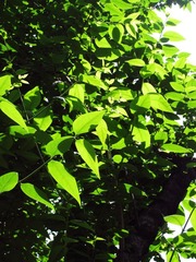 层层叠叠