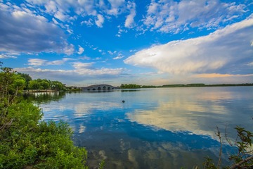 _DSC0278