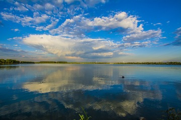 _DSC0319