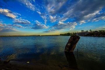 _DSC0330