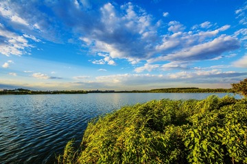 _DSC0354