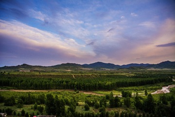 _DSC3133