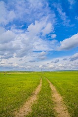 _DSC4111